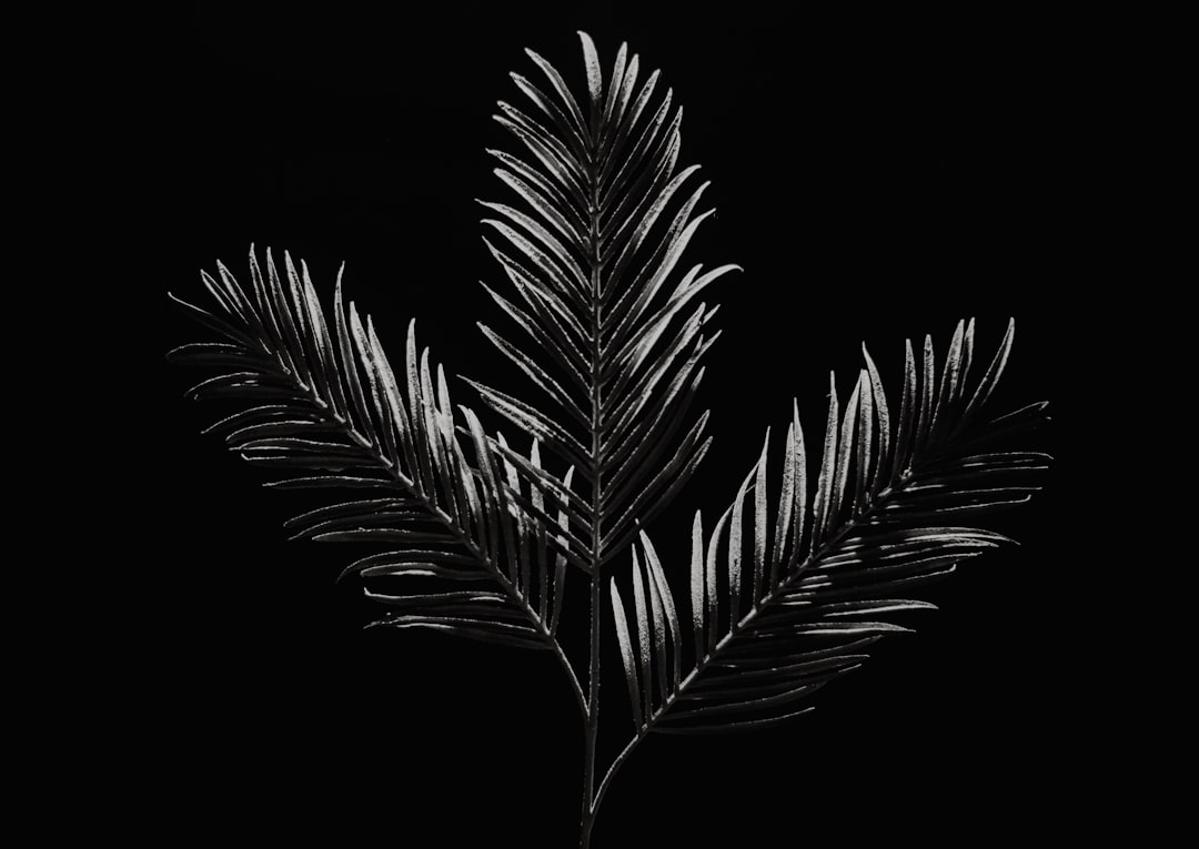 De wisselende datum van Pasen helder uitgelegd